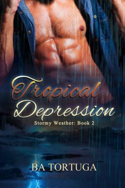 Tropical Depression (Stormy Weather (3744)