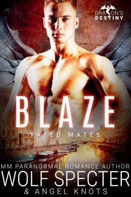 Blaze_ M_M Gay Shifter Mpreg Roman (12287)