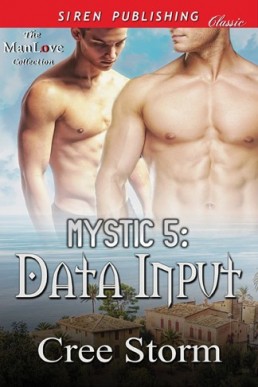 Data Input (MYSTIC Book 5)