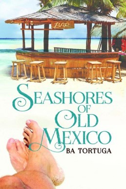 Seashores of Old Mexico (3731)