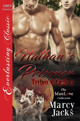 Nathan's Prisoner (10833)