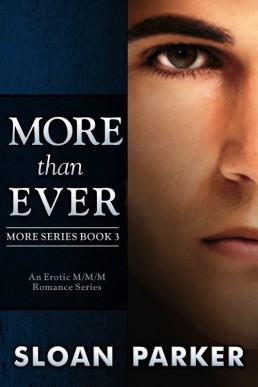 More Than Ever (More Book 3) (13873)