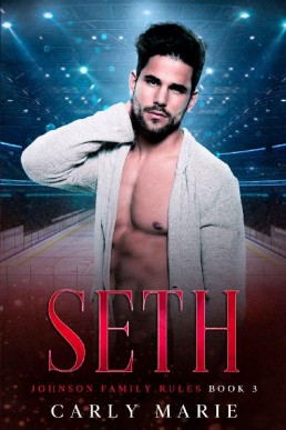 Seth_ An M_M Hockey Romance (Johns (15125)