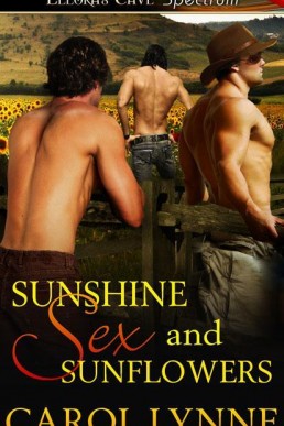 Sunshine, Sex and Sunflowers (16047)