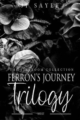 Ferron's Journey Trilogy_ MM suspe (19148)