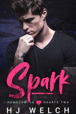 Spark (Homecoming Hearts Book 2) (20208)