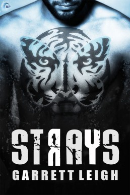 Strays (Urban Soul #2, 1st Ed. 2017)