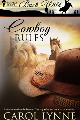 Cowboy Rules (16057)