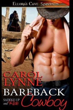 Bareback Cowboy (Saddle Up and Rid (16137)