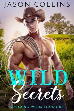 Wild Secrets (Wyoming Wilds Book 1 (20102)