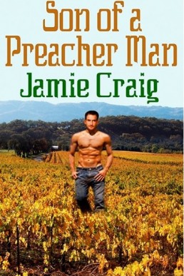 Son of a Preacher Man (15045)