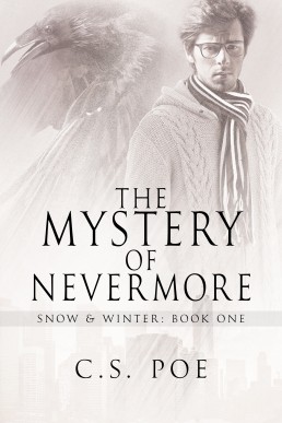 The Mystery of Nevermore (16576)