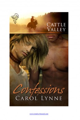 Confessions (Cattle Valley 25)