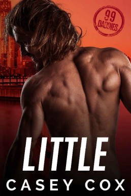 Little (99 Daddies Book 5) (15501)