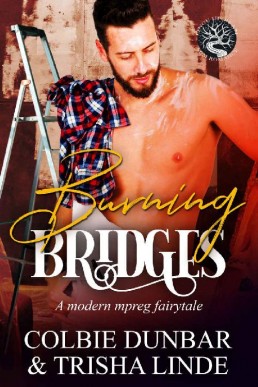 Burning Bridges (Once Upon an MM Romance #3)