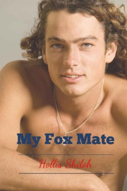 My Fox Mate (shifters and partners (18341)