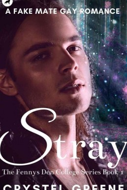 STRAY_ A Fake Mate Gay Romance (Th (16250)