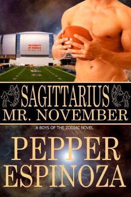 [Boys of the Zodiac 9] Sagittarius, Mr November