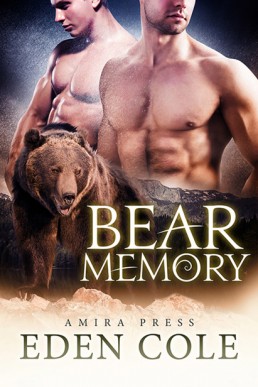 Bear Memory (19805)