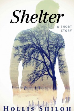 Shelter (A Short Story) (18357)