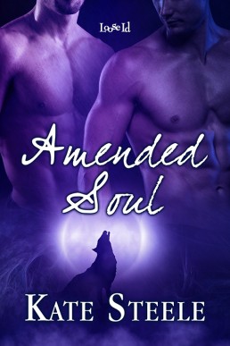 Amended Soul (22061)