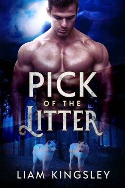 Pick Of The Litter (20565)