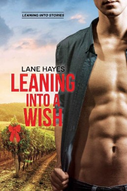 Leaning Into a Wish (Leaning Into #5)