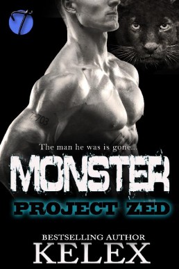 Monster (21003)