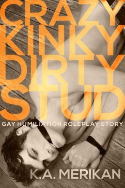 Crazy Kinky Dirty Stud (Crazy Kinky Dirty Love #2) (22038)