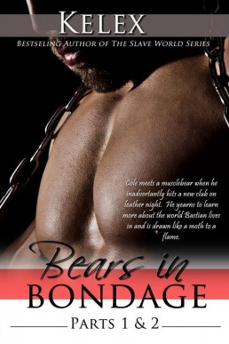 Bears in Bondage (Book I & II) (21015)