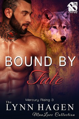 Bound by Fate [Mercury Rising 3] (20770)