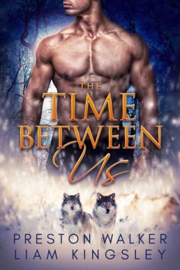 The Time Between Us (Between Us #1) (20346)