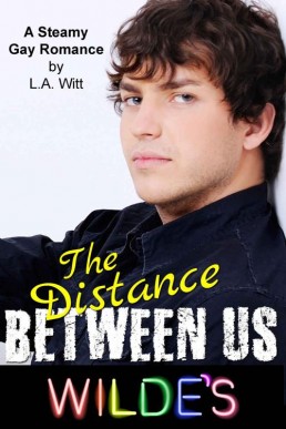 The Distance Between Us_ A Steamy (21934)