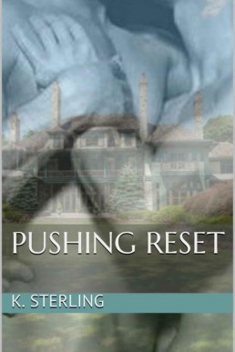 Pushing Reset (20554)