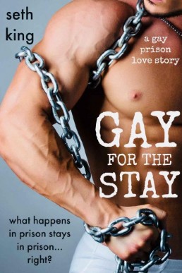 Gay for the Stay_ A Prison Romance (3325)