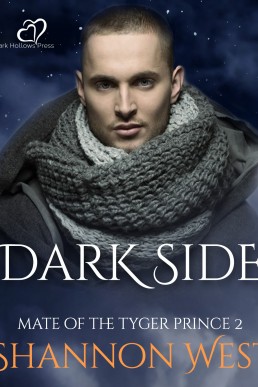 Darkside (Mate of the Tyger Prince #2) (1800)