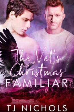 The Vet's Christmas Familiar (Familiar Mates Book 4)