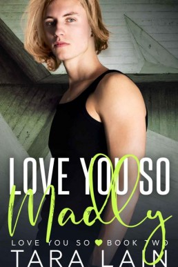 Love You So Madly (Love You So Stories #2)