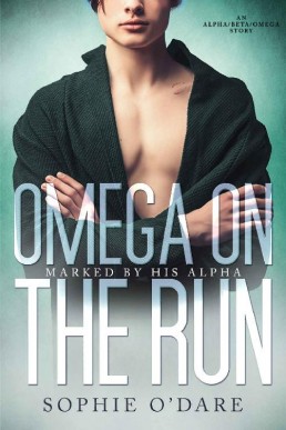 Omega On the Run (Marked by His Alpha Book 3)