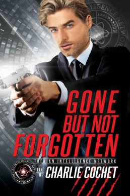 Gone But Not Forgotten (TIN Book 1) (4141)