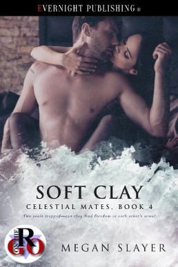 Soft Clay (25203)