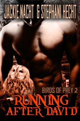 Running After David (Birds of Prey 2)