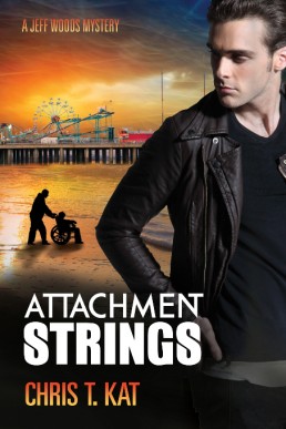 Attachment Strings (4269)