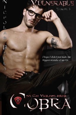 Vulnerable (Cobra The Gay Vigilante #5 )(26086)