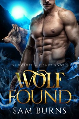 Wolf Found (The Wolves of Kismet Book 2)