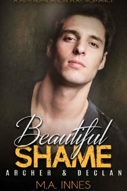 Archer & Declan (Beautiful Shame #4)