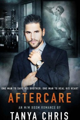 Aftercare (Ever After Book 1) (3300)