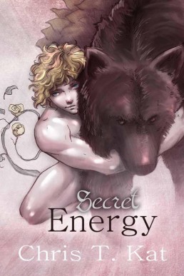 Secret Energy (Shifters Book 2) (4276)