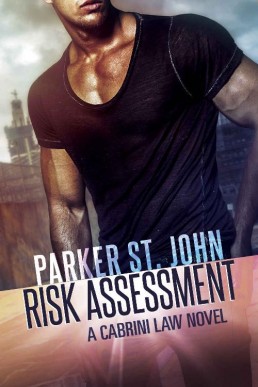 Risk Assessment (Cabrini Law Book 1)