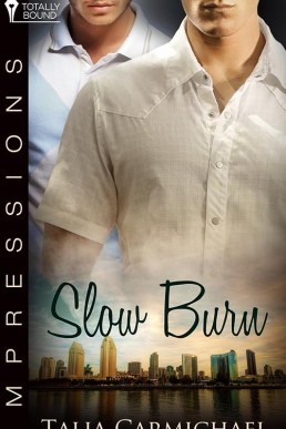 Impressions 5 - Slow Burn (3661)